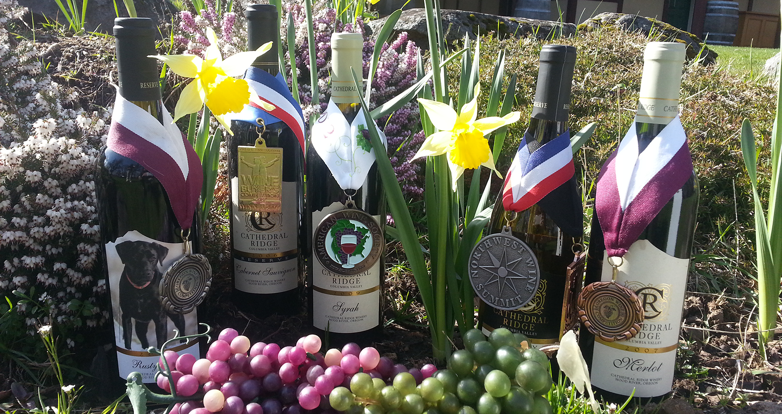 Premier Oregon Winery